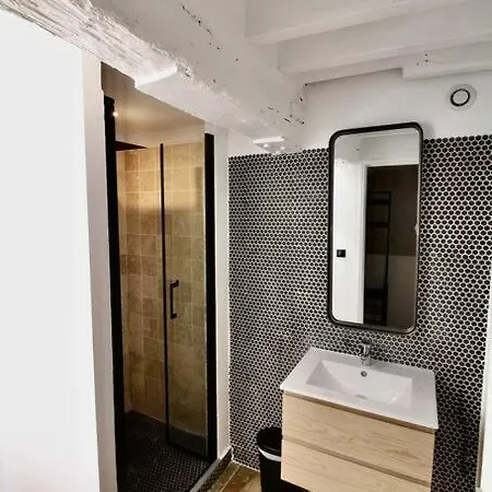 Apartment Le Beauvoisine - Jacuzzi Sauna Centre Free Parking Rouen