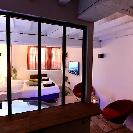 Apartamento Le Beauvoisine - Jacuzzi Sauna Centre Free Parking *
