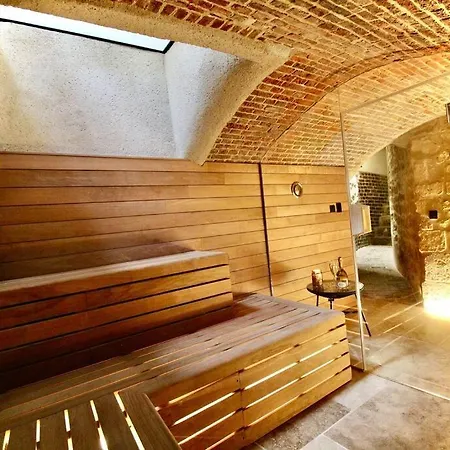 Apartamento Le Beauvoisine - Jacuzzi Sauna Centre Free Parking Ruan